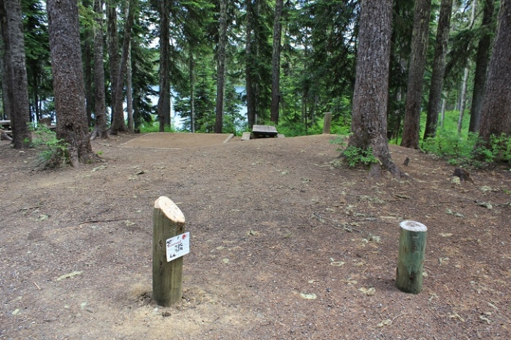 Camping in Washington's Takhlakh Lake Campground.