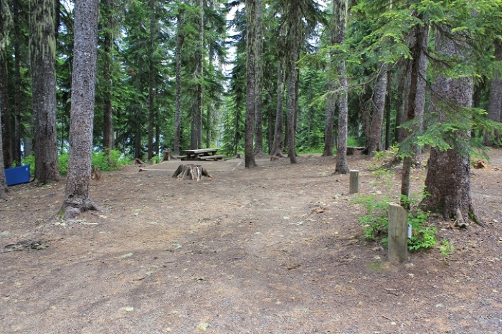 Camping in Washington's Takhlakh Lake Campground.