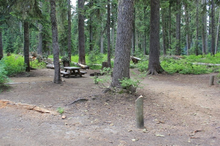 Camping in Washington's Takhlakh Lake Campground.