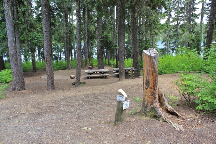 Camping in Washington's Takhlakh Lake Campground.
