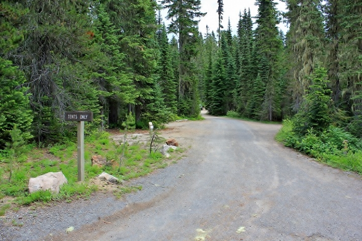 Camping in Washington's Takhlakh Lake Campground.