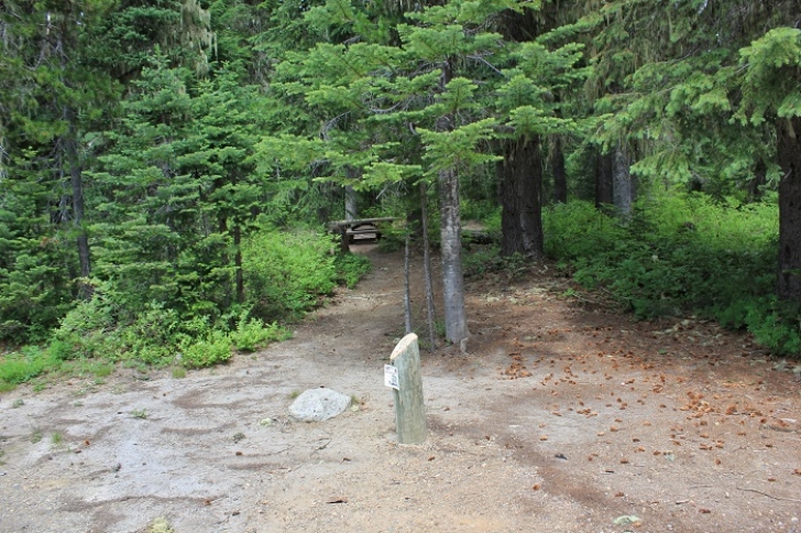 Camping in Washington's Takhlakh Lake Campground.