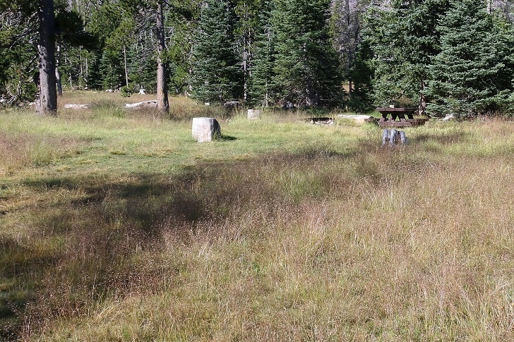 Camping in Oregons Three Creek Meadow Campground.