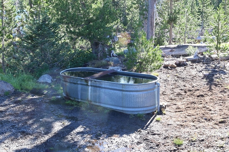 Camping in Oregons Three Creek Meadow Horse Camp.