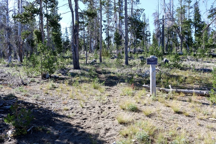 Camping in Oregons Three Creek Meadow Horse Camp.