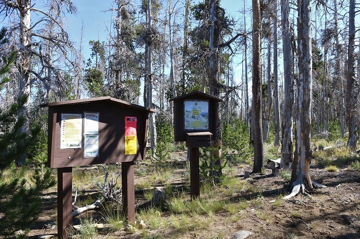 Camping in Oregons Three Creek Meadow Horse Camp.