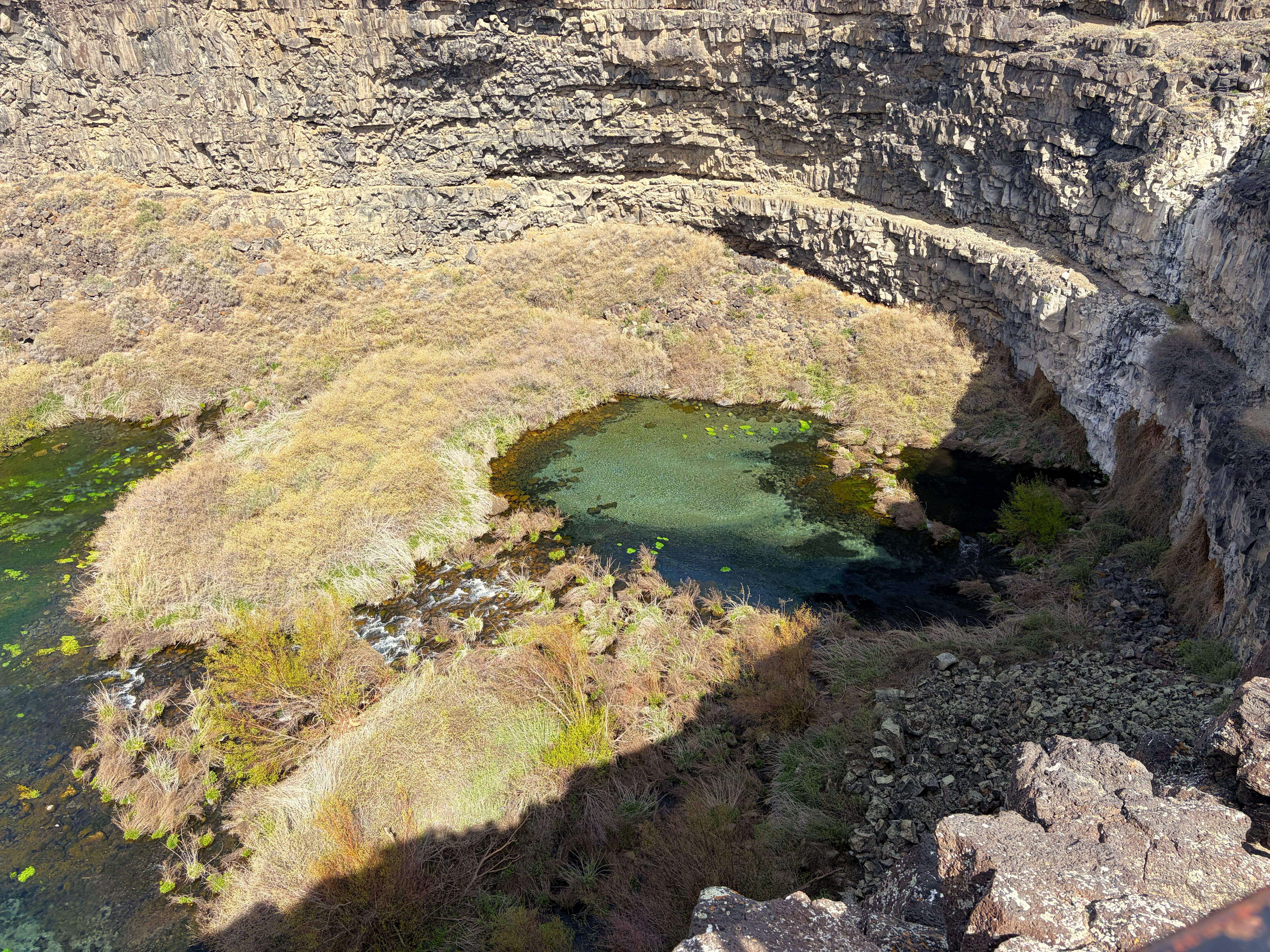 Earl M Hardy Box Canyon Sprins Preserve