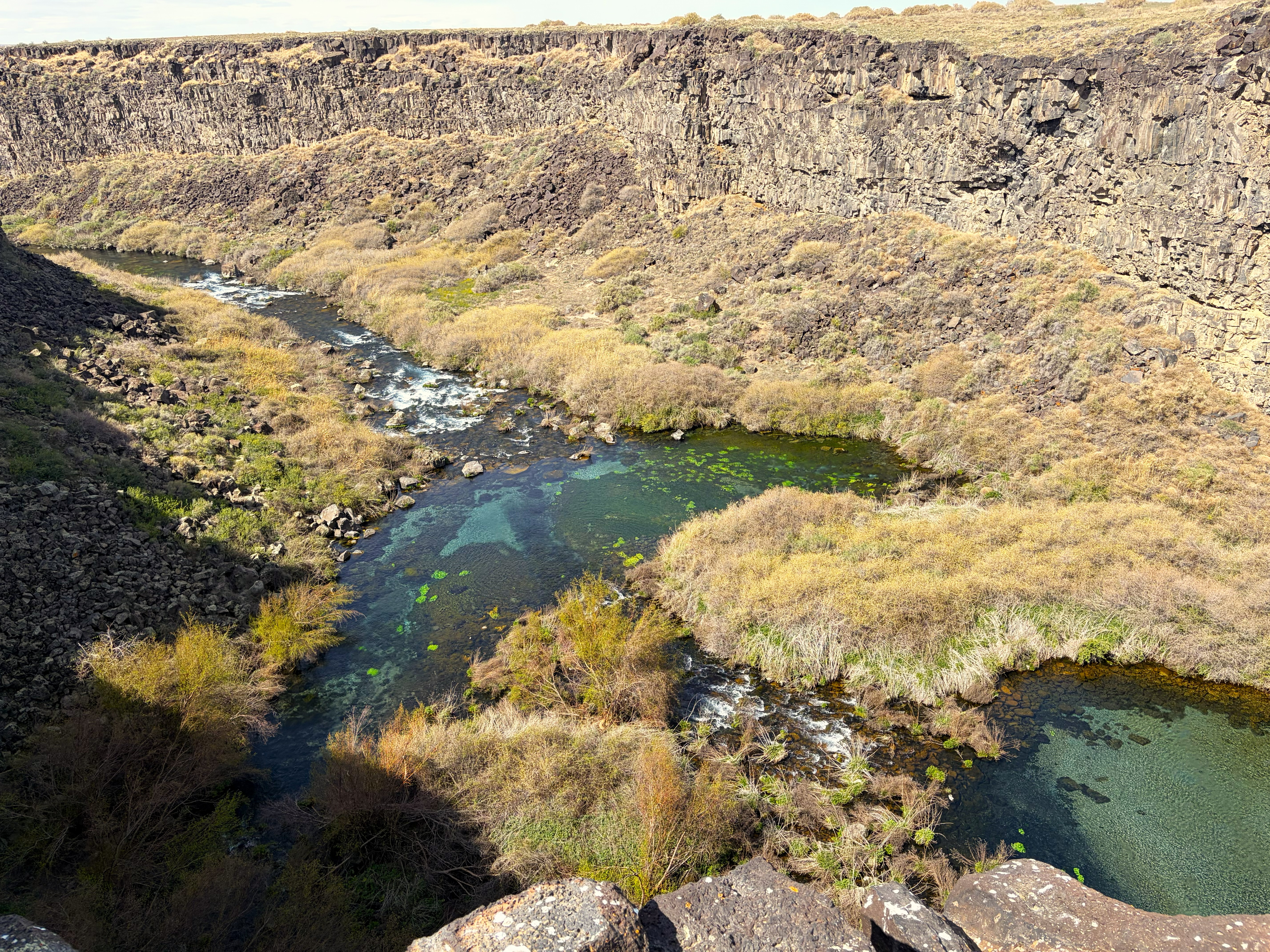The Earl M Hardy Box Canyon Springs Preserve
