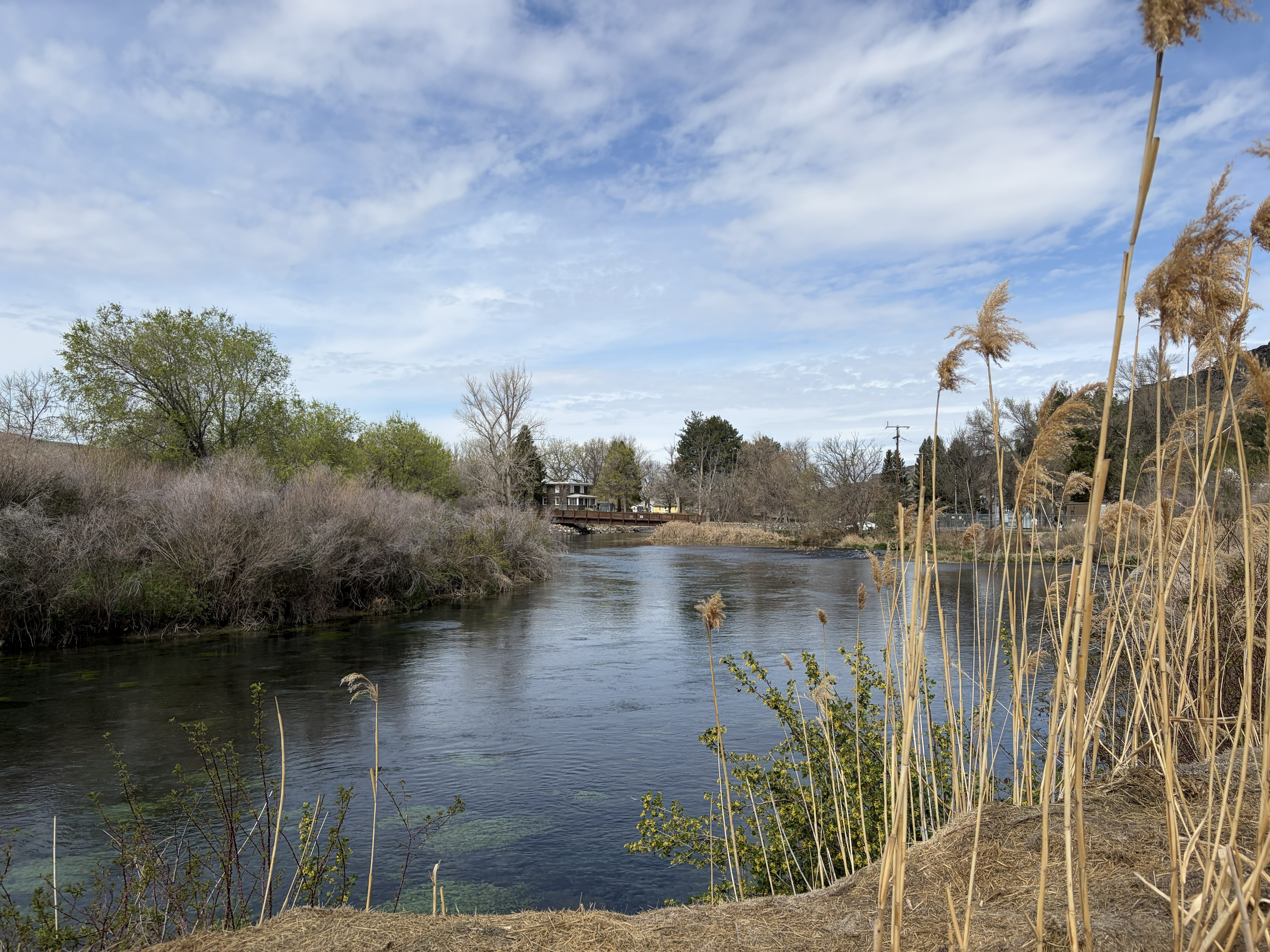 Ritter Island & Idaho Power Thousand Springs Access