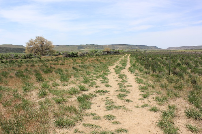 Three Island State Park near Glenns Ferry