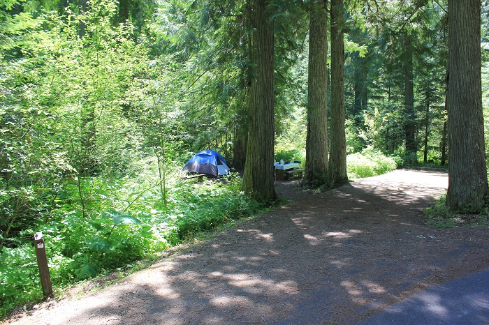 Tin Can Flat Campground