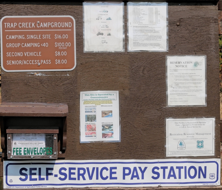 A guide to camping in Trap Creek Campground near Stanley Idaho