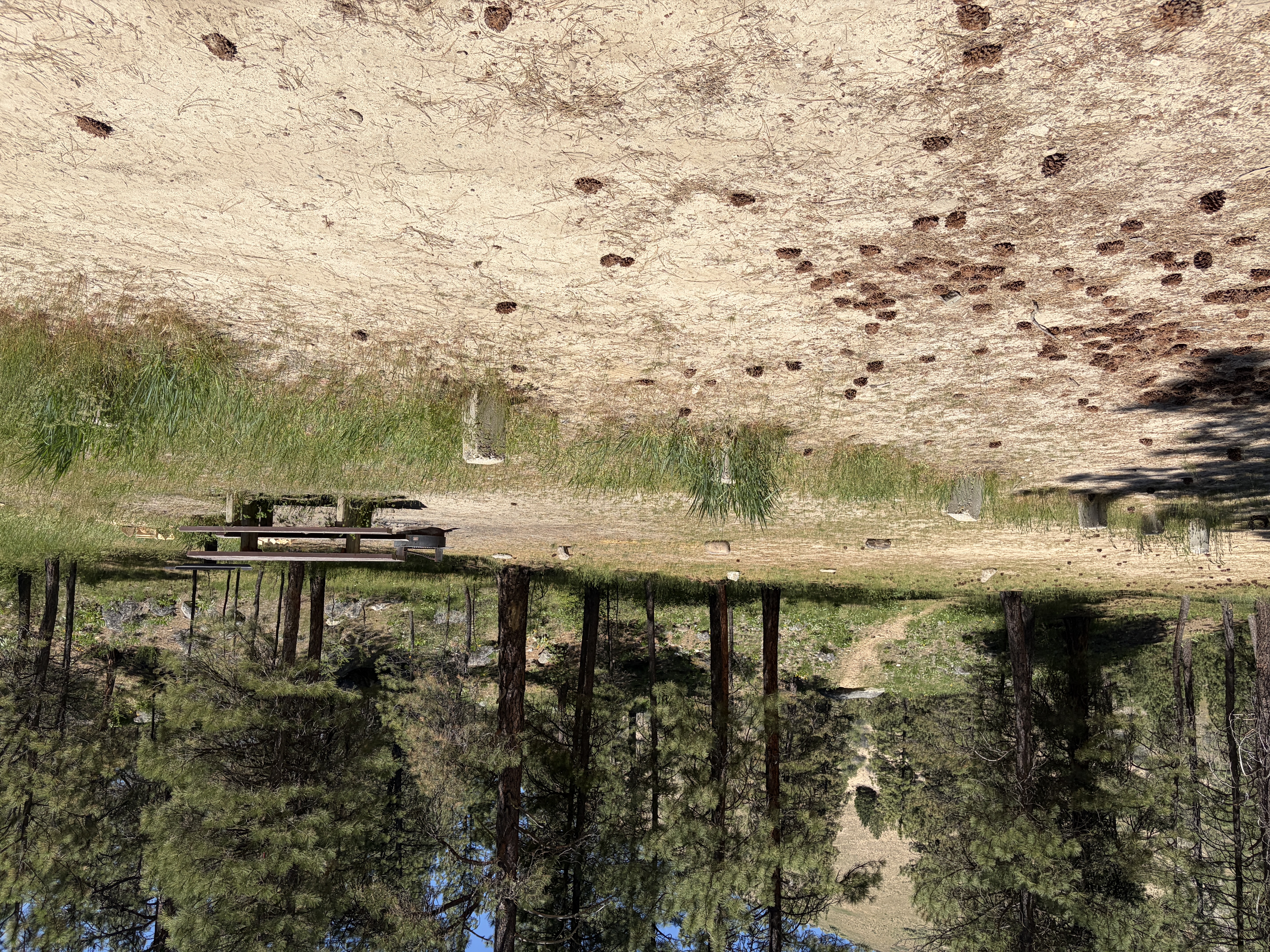 Troutdale Campground _Campsites