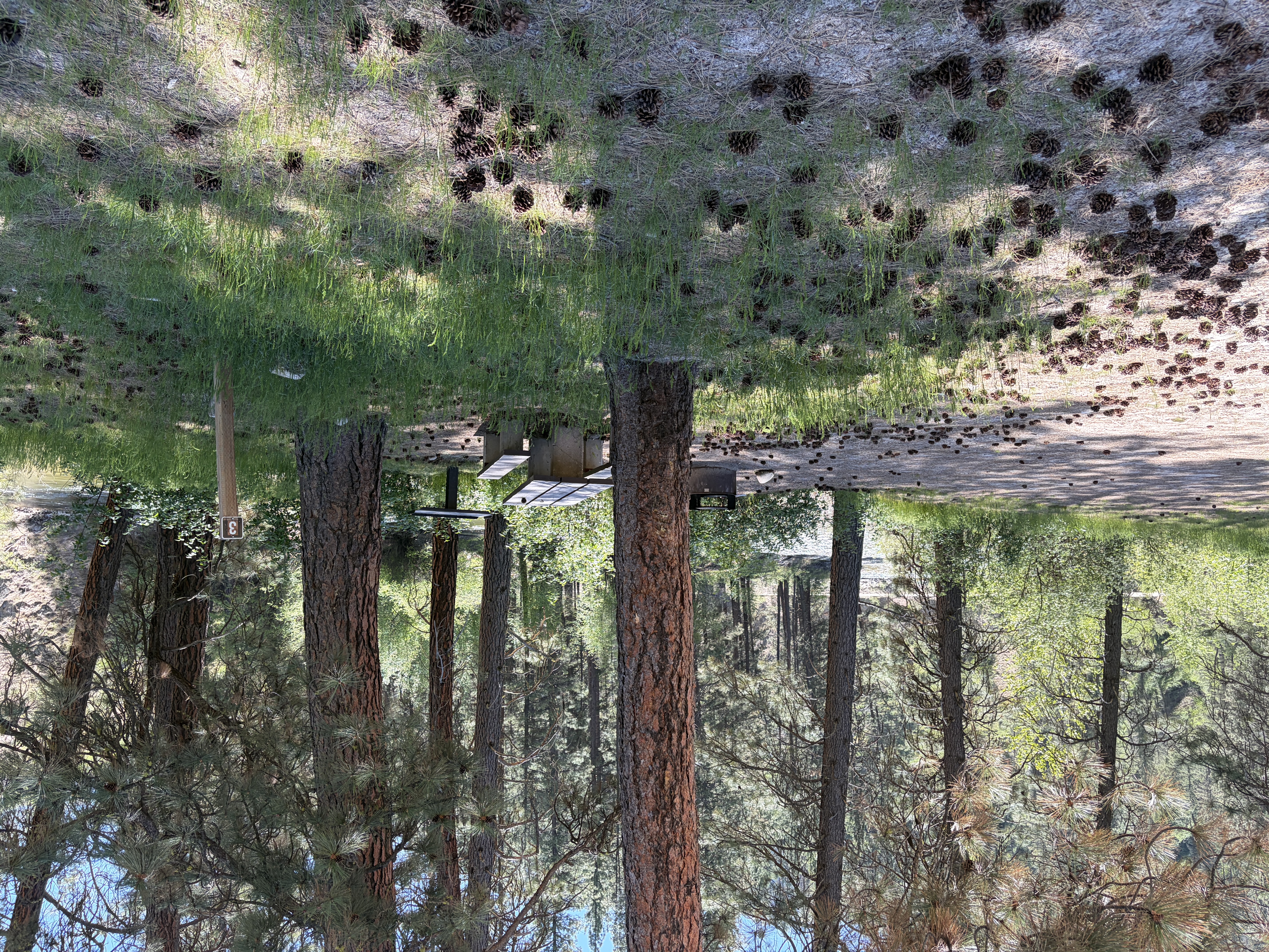 view of troutdale forest camp