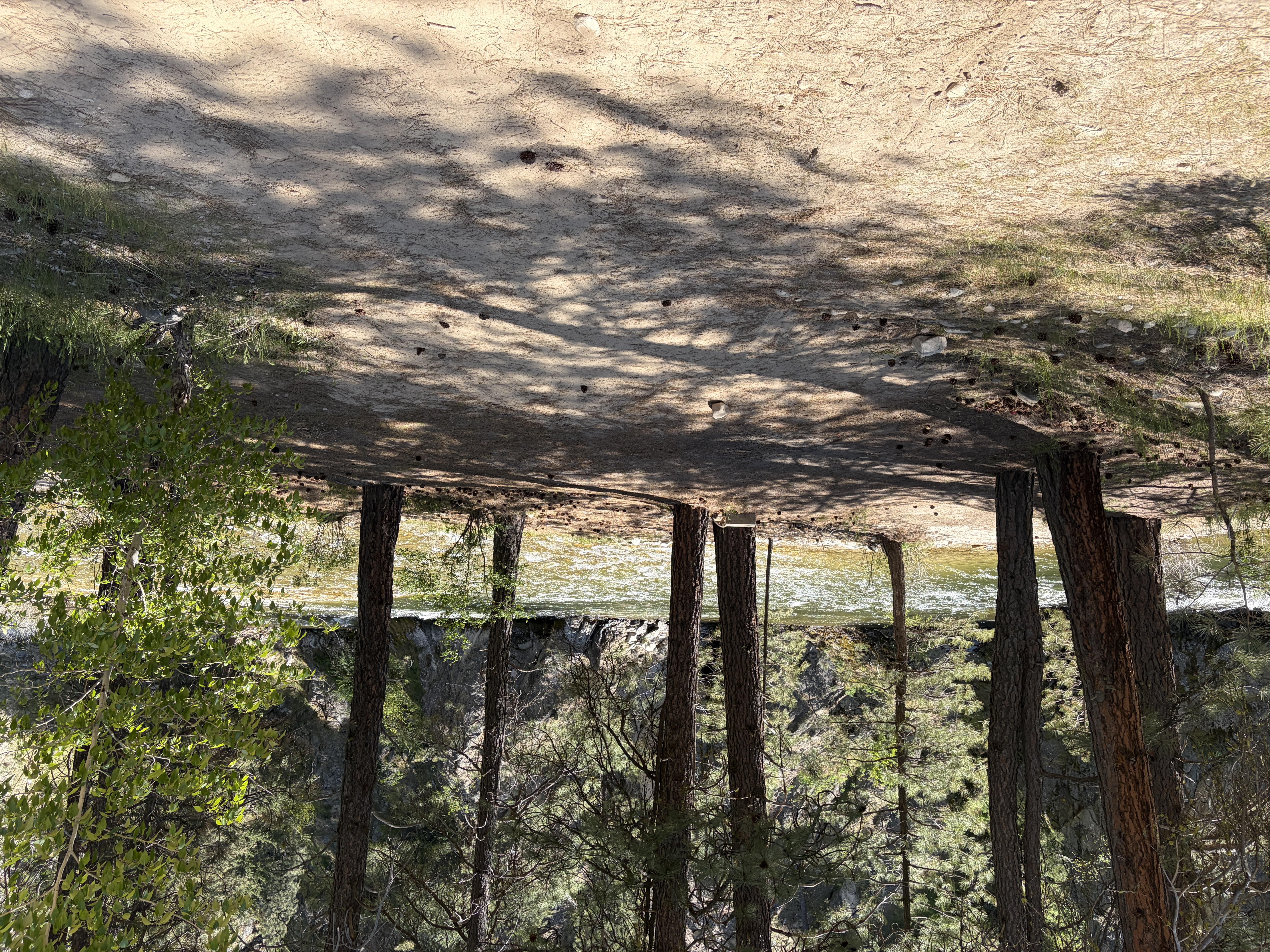 Troutdale Campground - Campsites