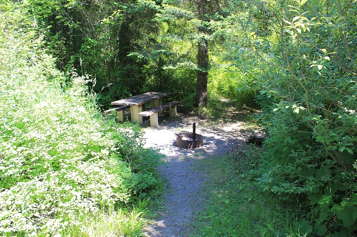 Turner Flat Campground on the St Joe River.