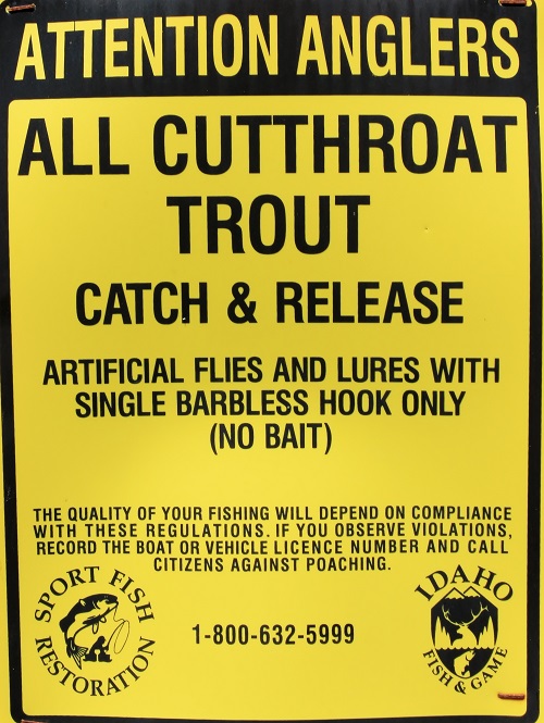 Turner Flat Campground on the St Joe River.