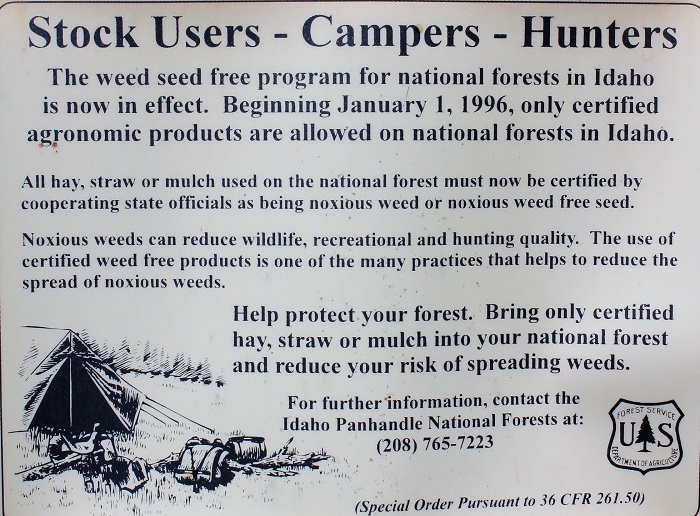 Turner Flat Campground on the St Joe River.