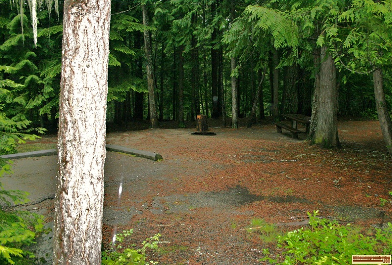 Upper Luby Bay Campground on Priest Lake