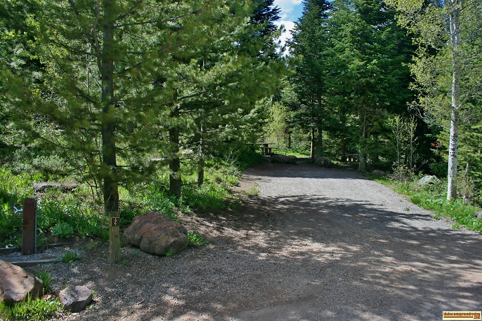 Campsite #2 in Upper Penstemon Campground.