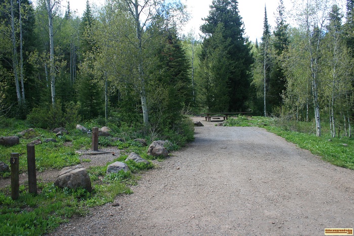 Campsite # 3 in Upper Penstemon Campground.