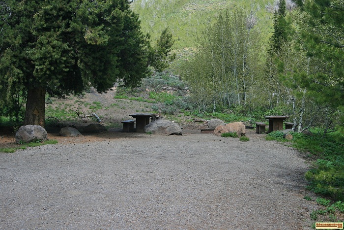 Campsite #5 in Upper Penstemon Campground.