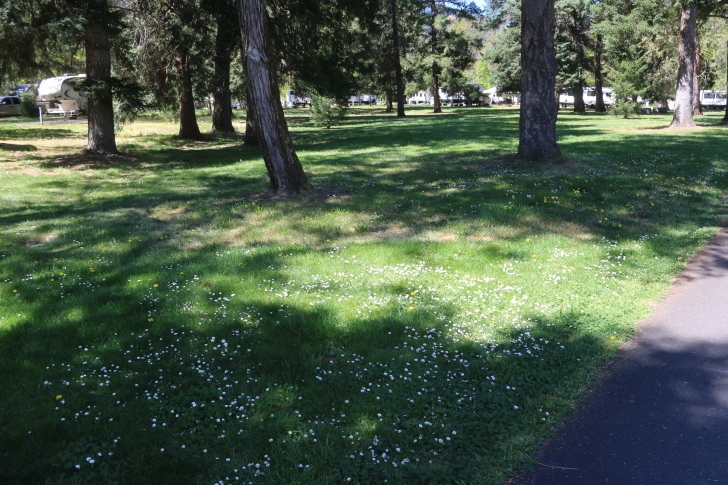 Camping at the Valley of the Rogue State park in Oregon.