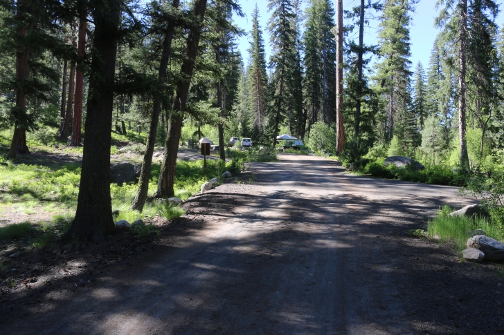 Warm Lake Campground