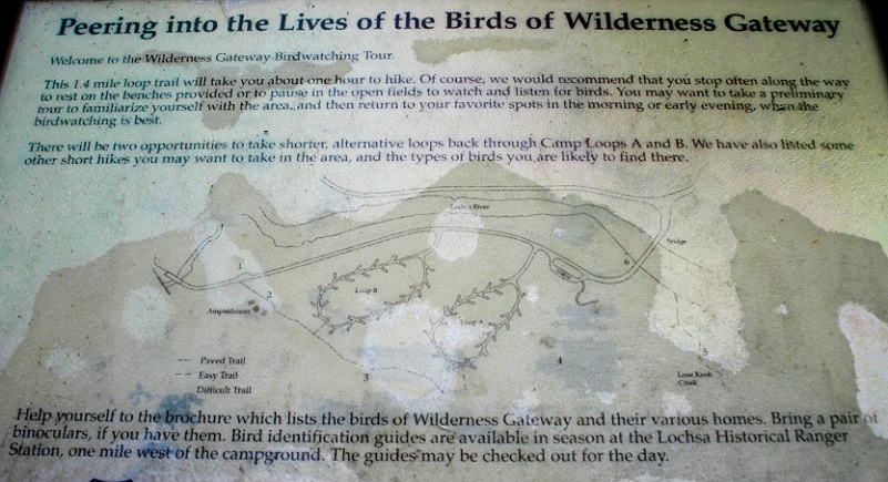 Wilderness Gateway Campground on the Lochsa River