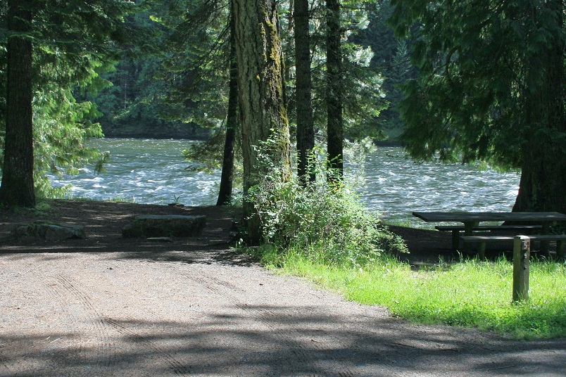 RV campsite #5 in Wild Goose Campground.
