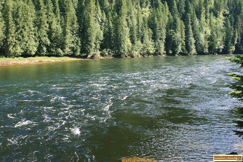 Wild Goose Campground on the Middle Fork of the Clearwater River