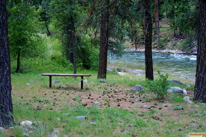 There is a bench overlooking the river at Willow Creek Campground in the Sawtooth National Forest.