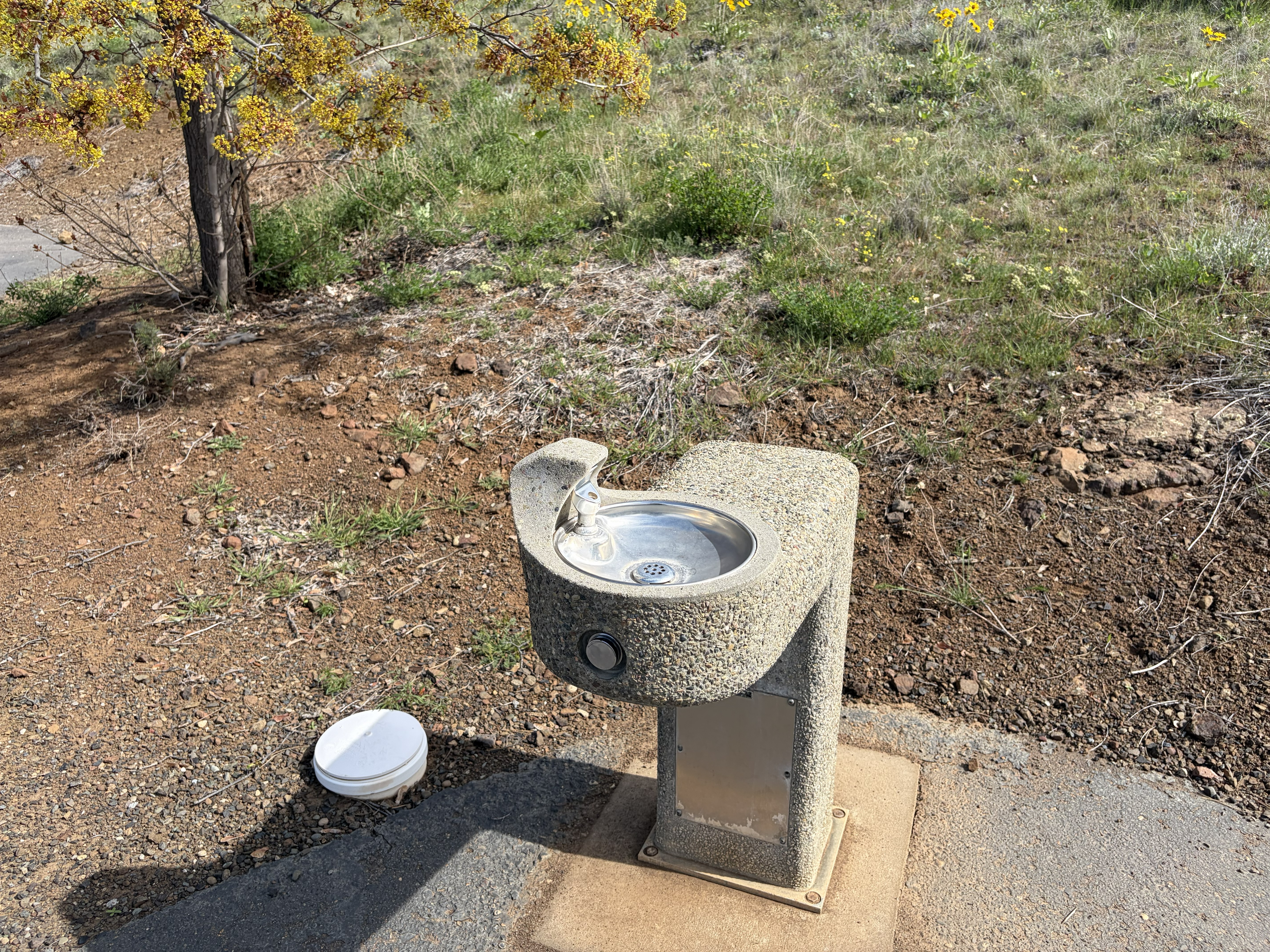 Woodhead Park Campsites