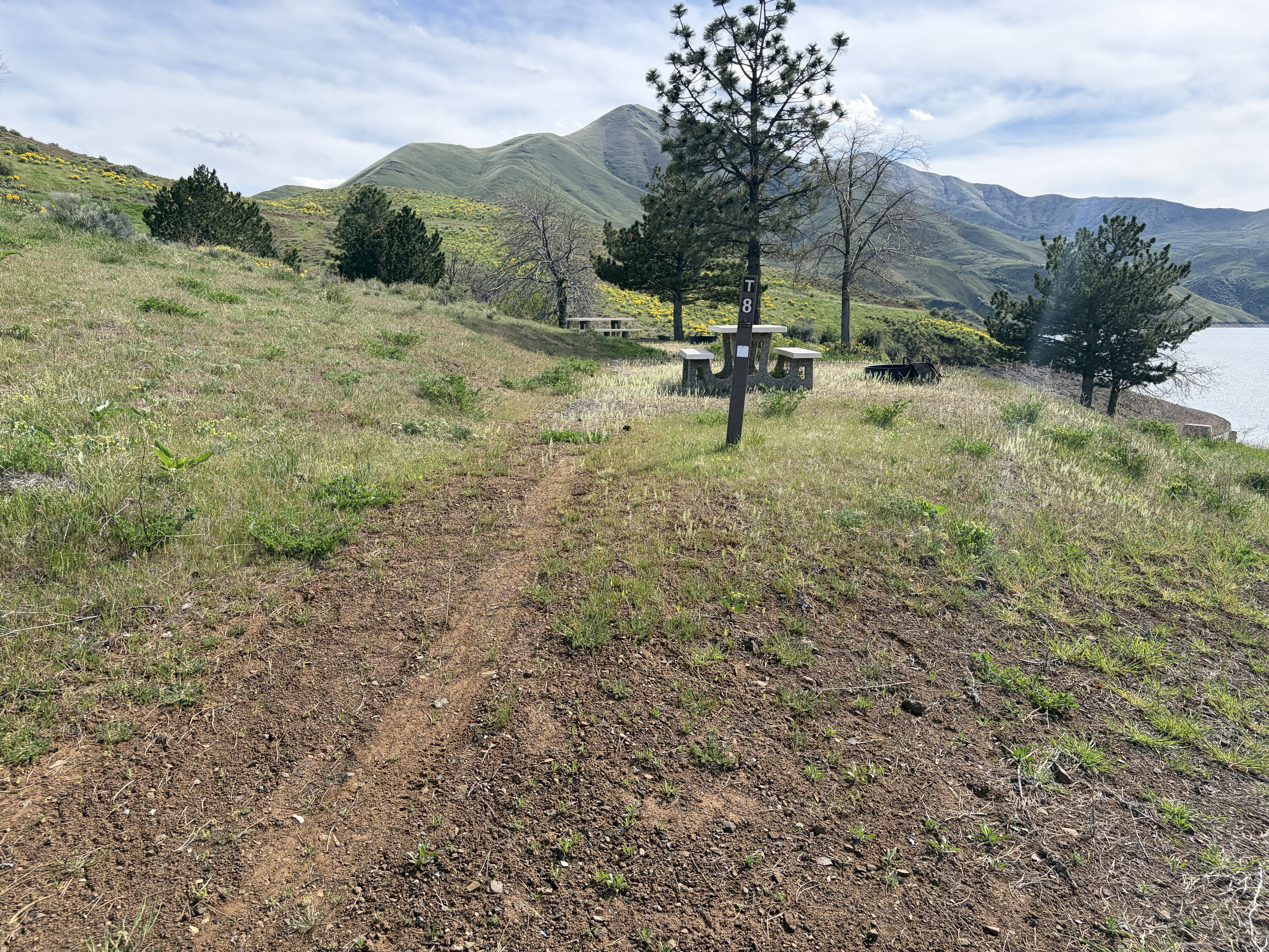 Woodhead Park Campsites