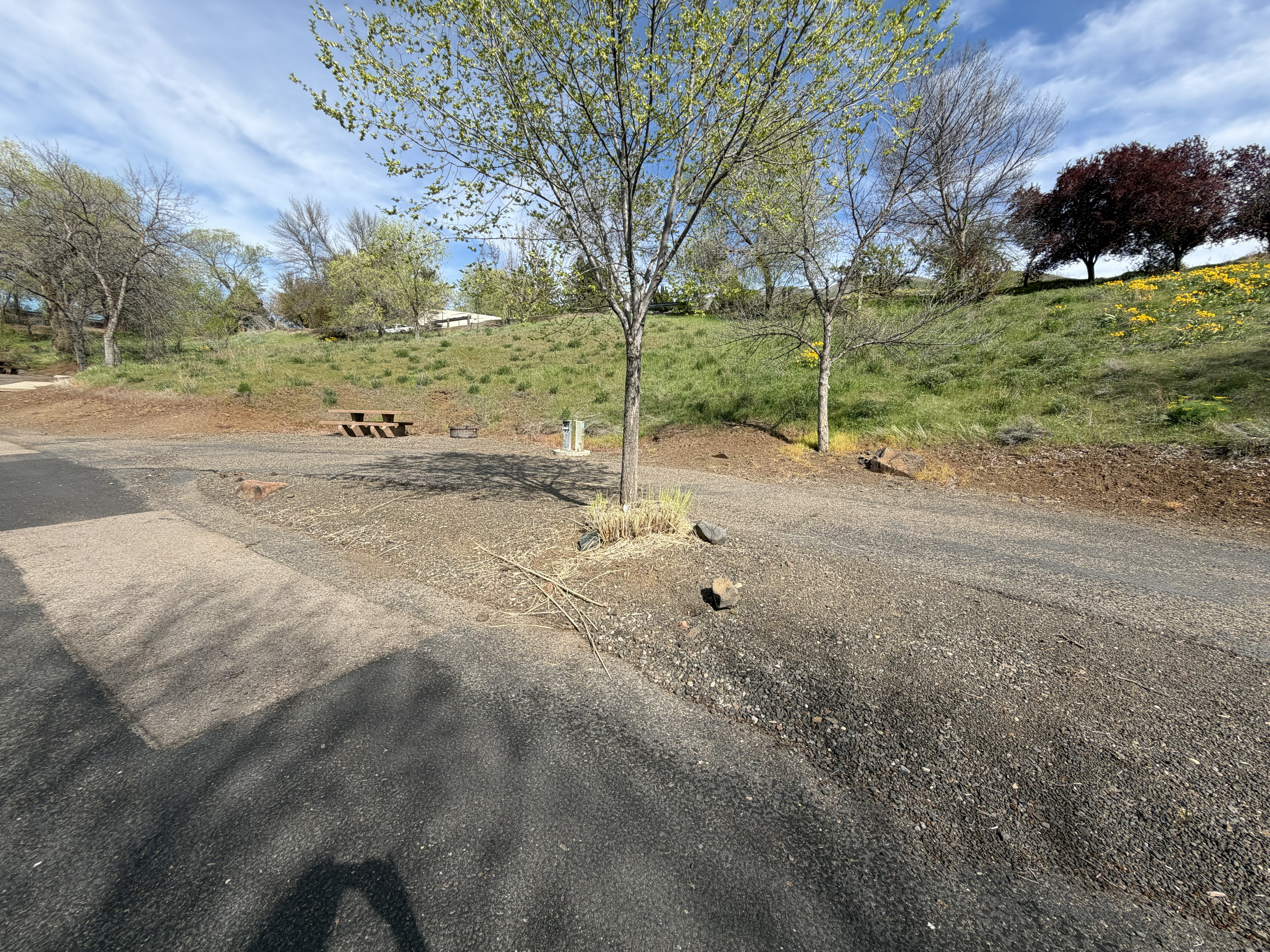 Woodhead Park Campsites