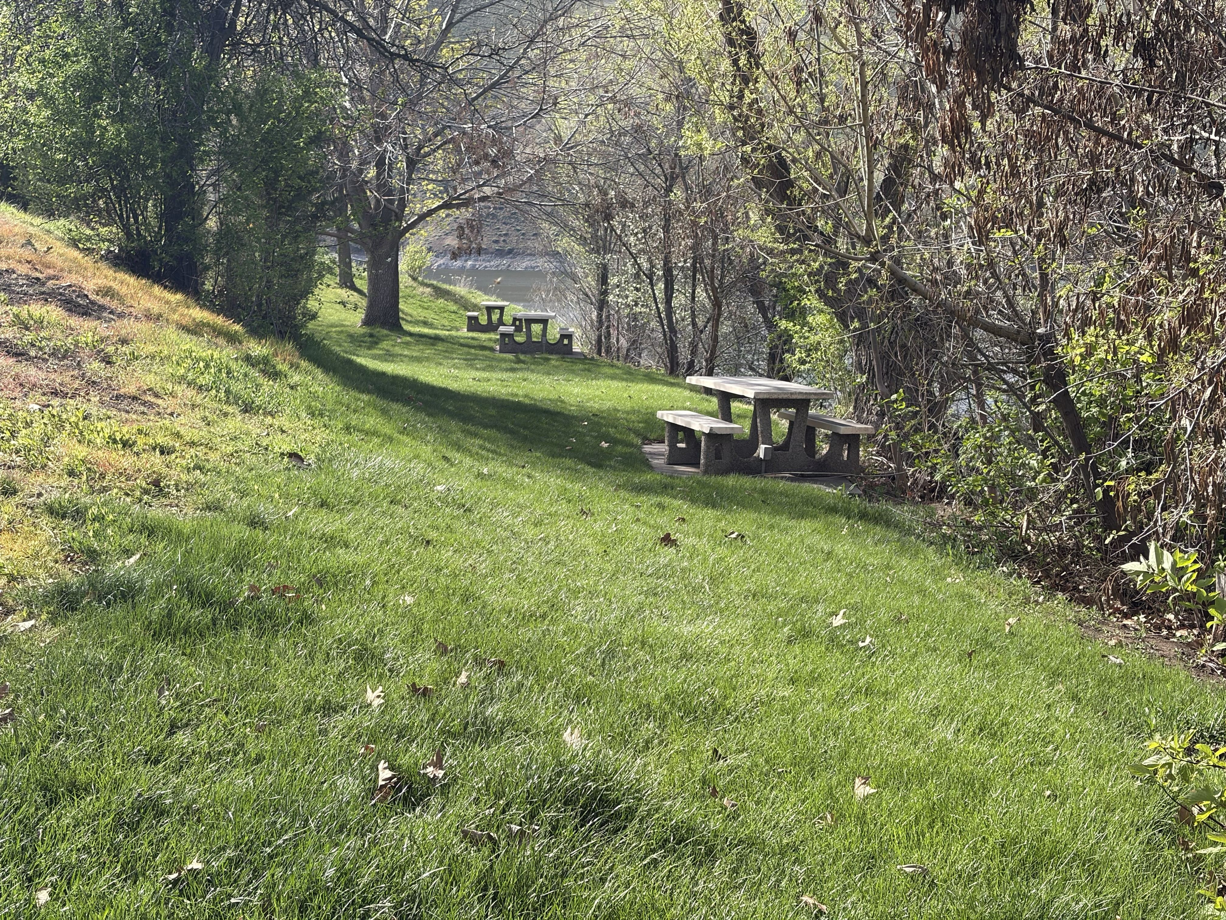 Woodhead Park Campsites