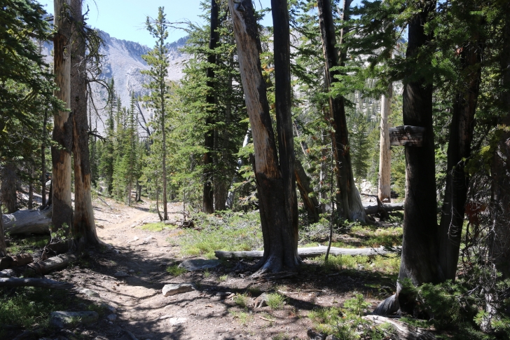 Hiking the Bighorn Crags of central Idaho.