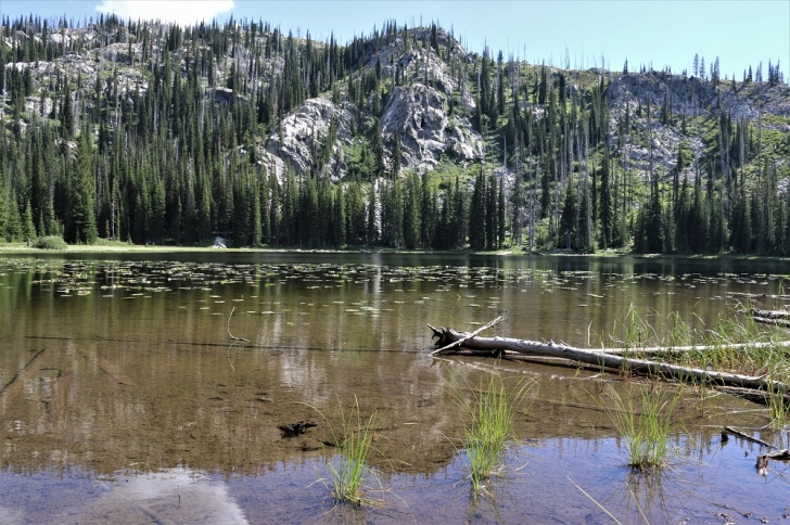 A picture of Hidden Lake from the outlet stream.