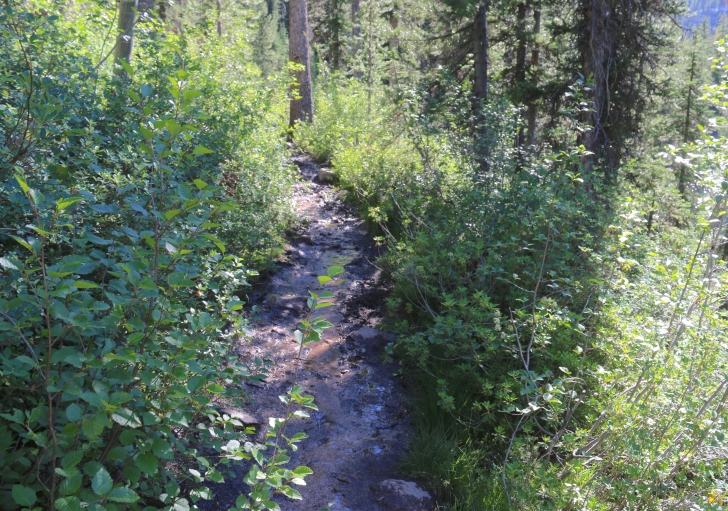 A picture of the trail shows one of the wet portions along the eastern shore of Hell Roaring Lake.