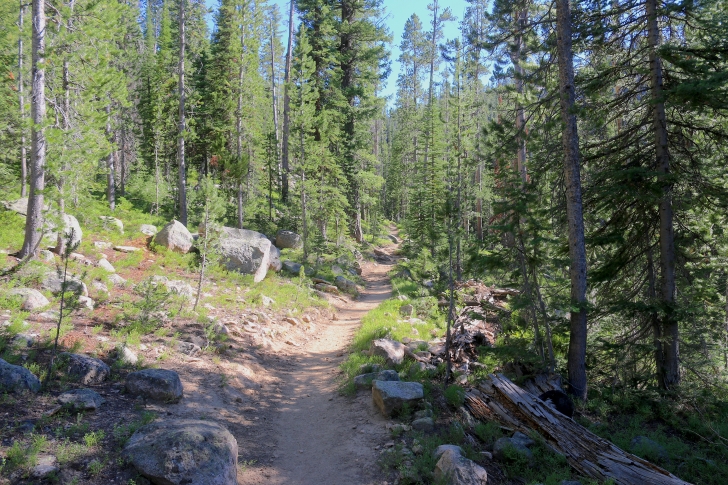 A picture of trail 092 as it begins the climb from Hell Roaring Lake.