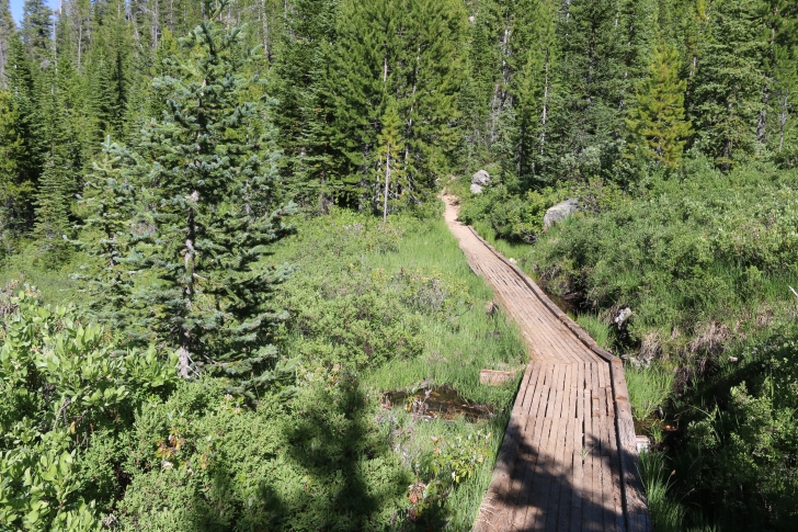 A picture of trail 092 above Hell Roaring Lake.