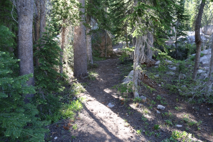 A picture of a side trail which leads to Mushroom Lake.