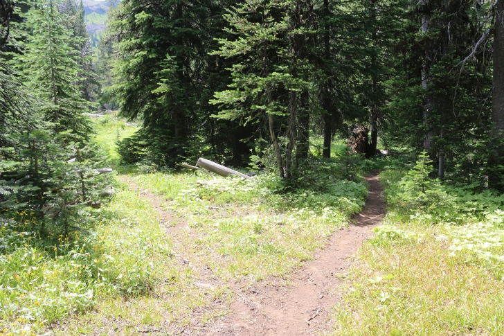 Hiking to Lava Butte Lakes north of McCall, Idaho.