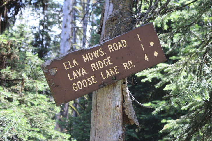 Hiking to Lava Butte Lakes north of McCall, Idaho.