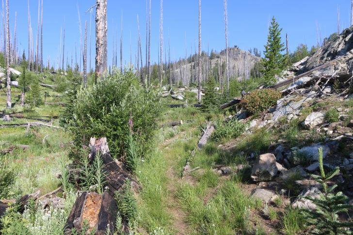 Hiking to Lava Butte Lakes north of McCall, Idaho.