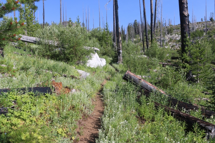 Hiking to Lava Butte Lakes north of McCall, Idaho.