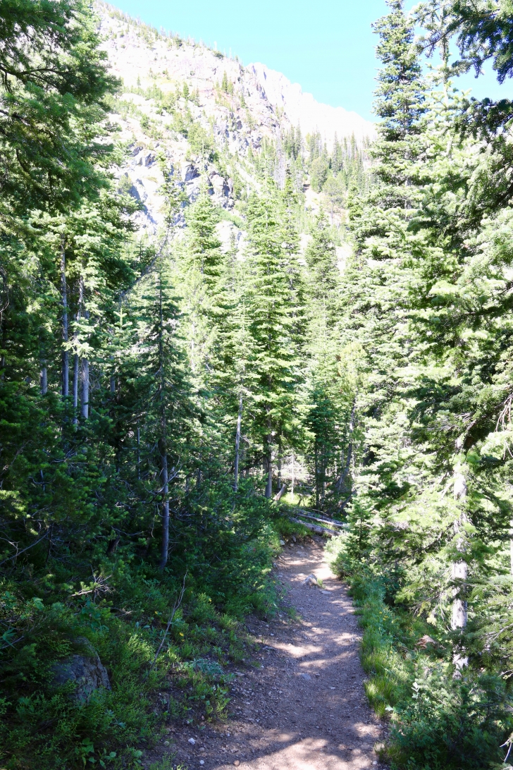 Alpine Way trail