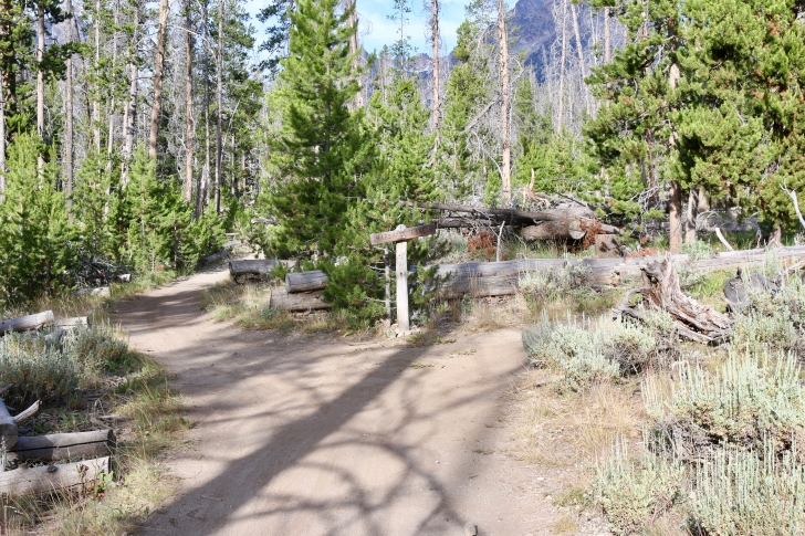 A picture of the junction in the trail between Fishhook trail and the trail leading to the Alpine Way trail.