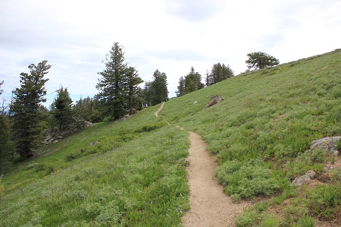 Mores Mountain Trail near Boise, Idaho.
