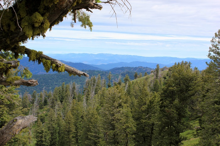 Mores Mountain Trail near Boise, Idaho.